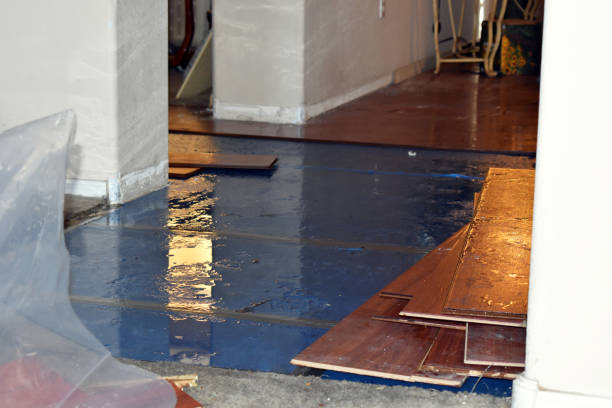 Professional Sewage Cleanup technician working in Danevang, TX
